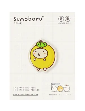 Fancy Gem Fishbo Pin